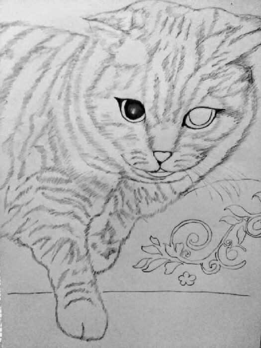 Finished