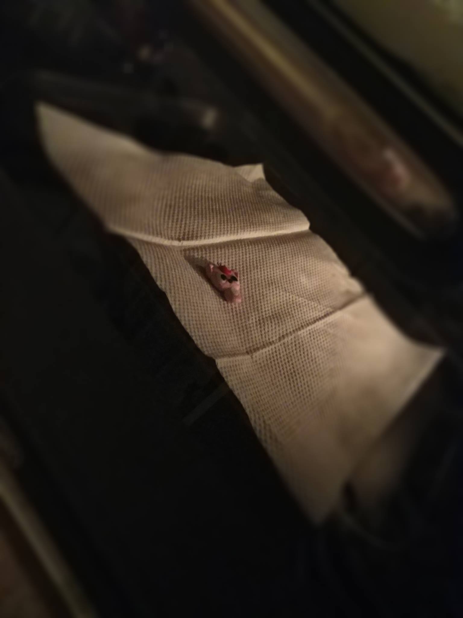 圖六